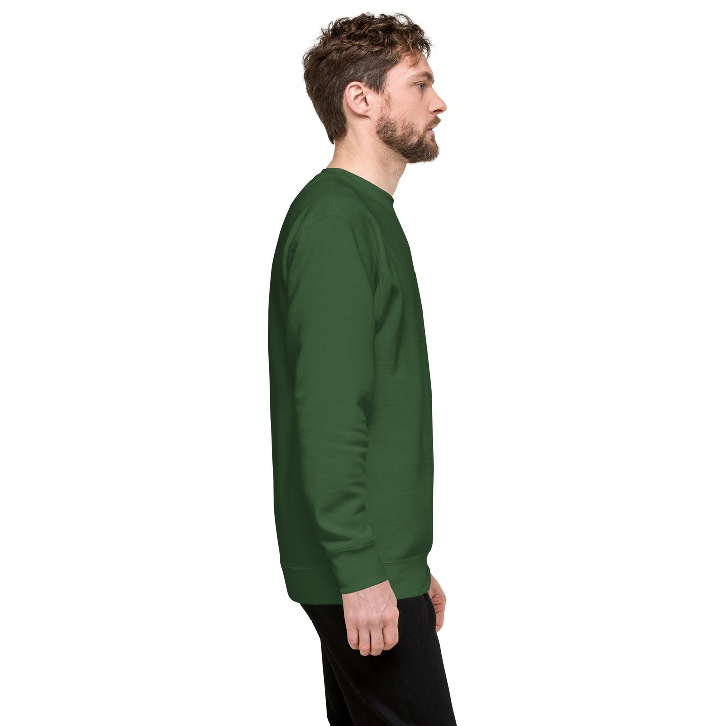 Unisex Premium Jumper Sweatshirt - Icespheric