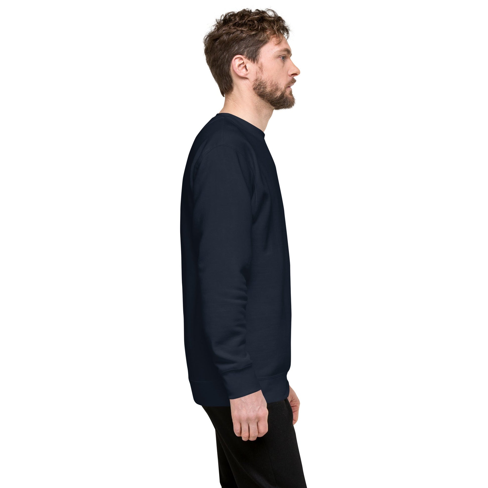 Unisex Premium Jumper Sweatshirt - Icespheric