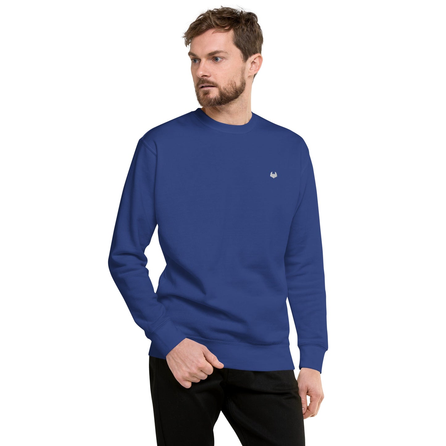 Unisex Premium Jumper Sweatshirt - Icespheric