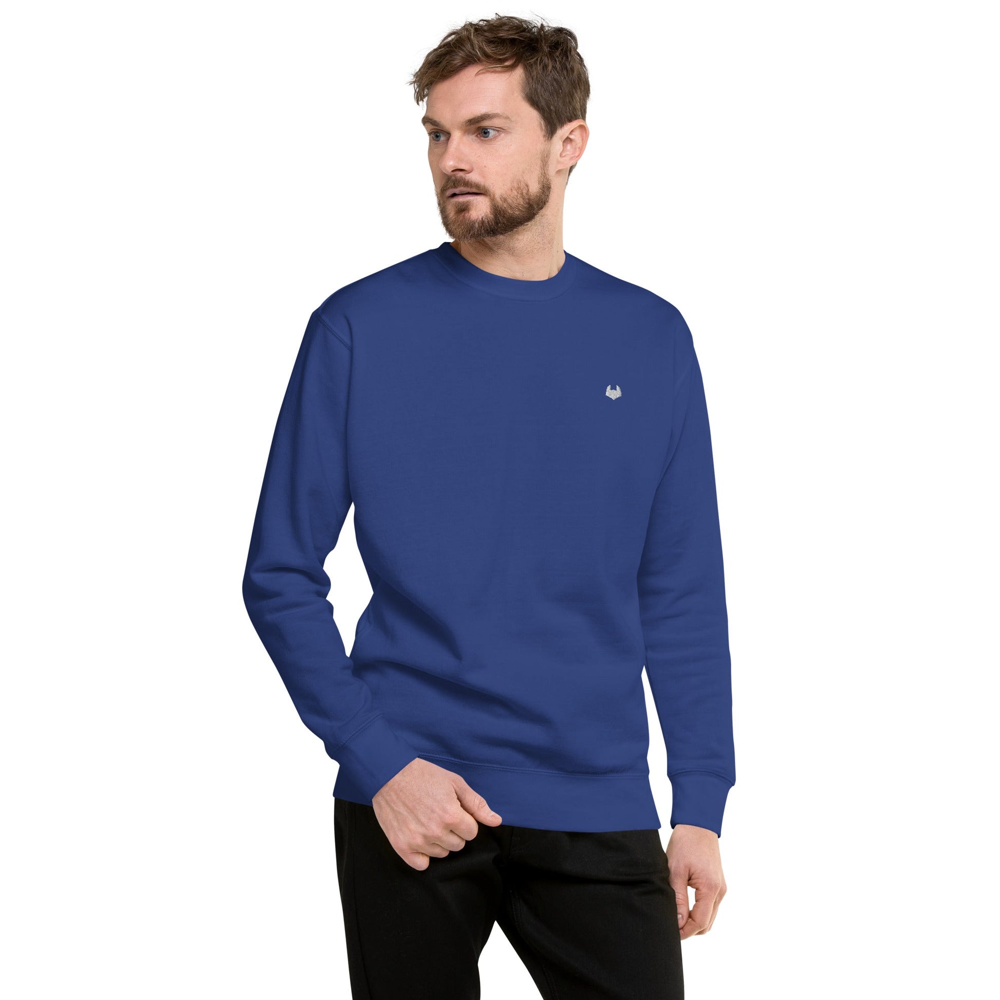 Unisex Premium Jumper Sweatshirt - Icespheric