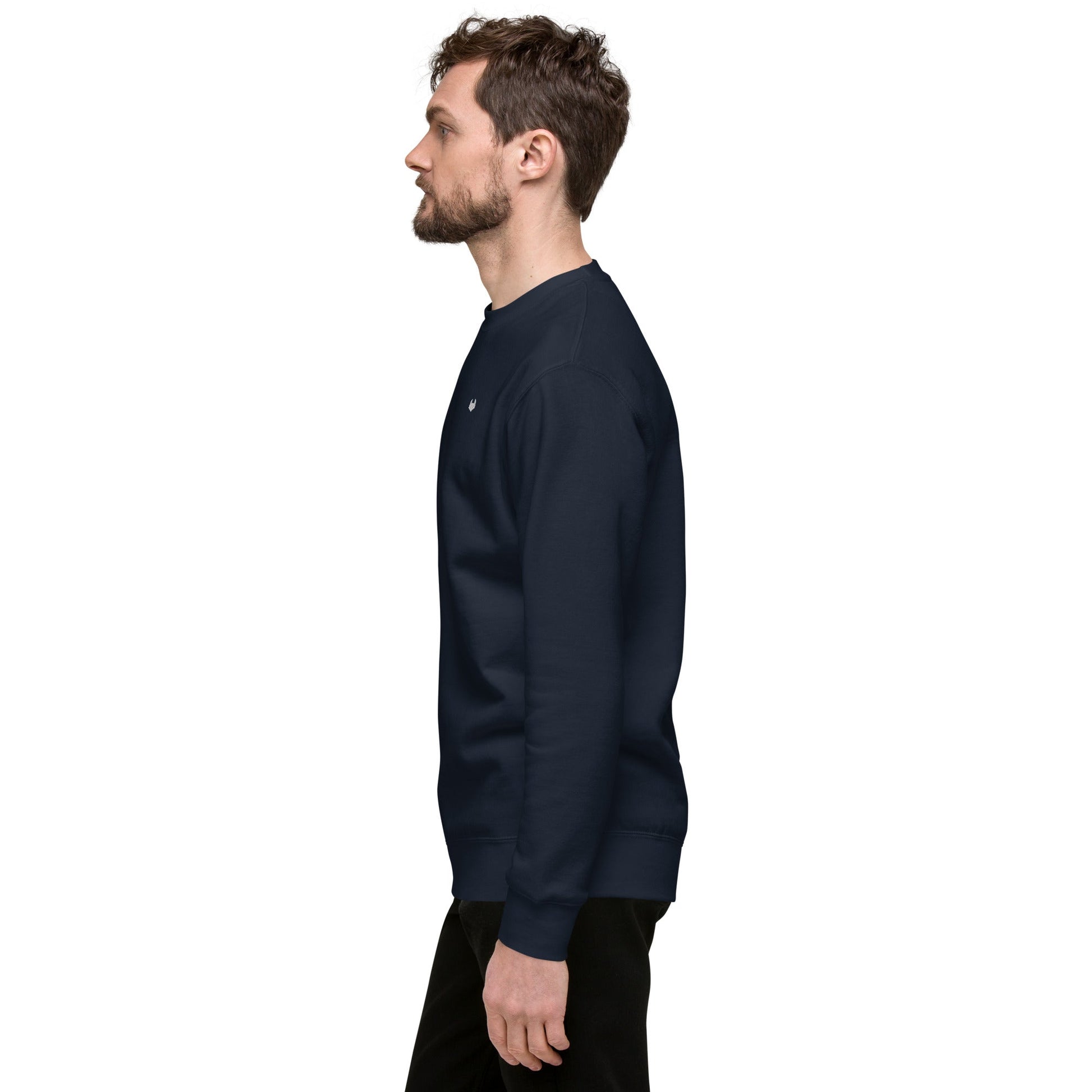 Unisex Premium Jumper Sweatshirt - Icespheric