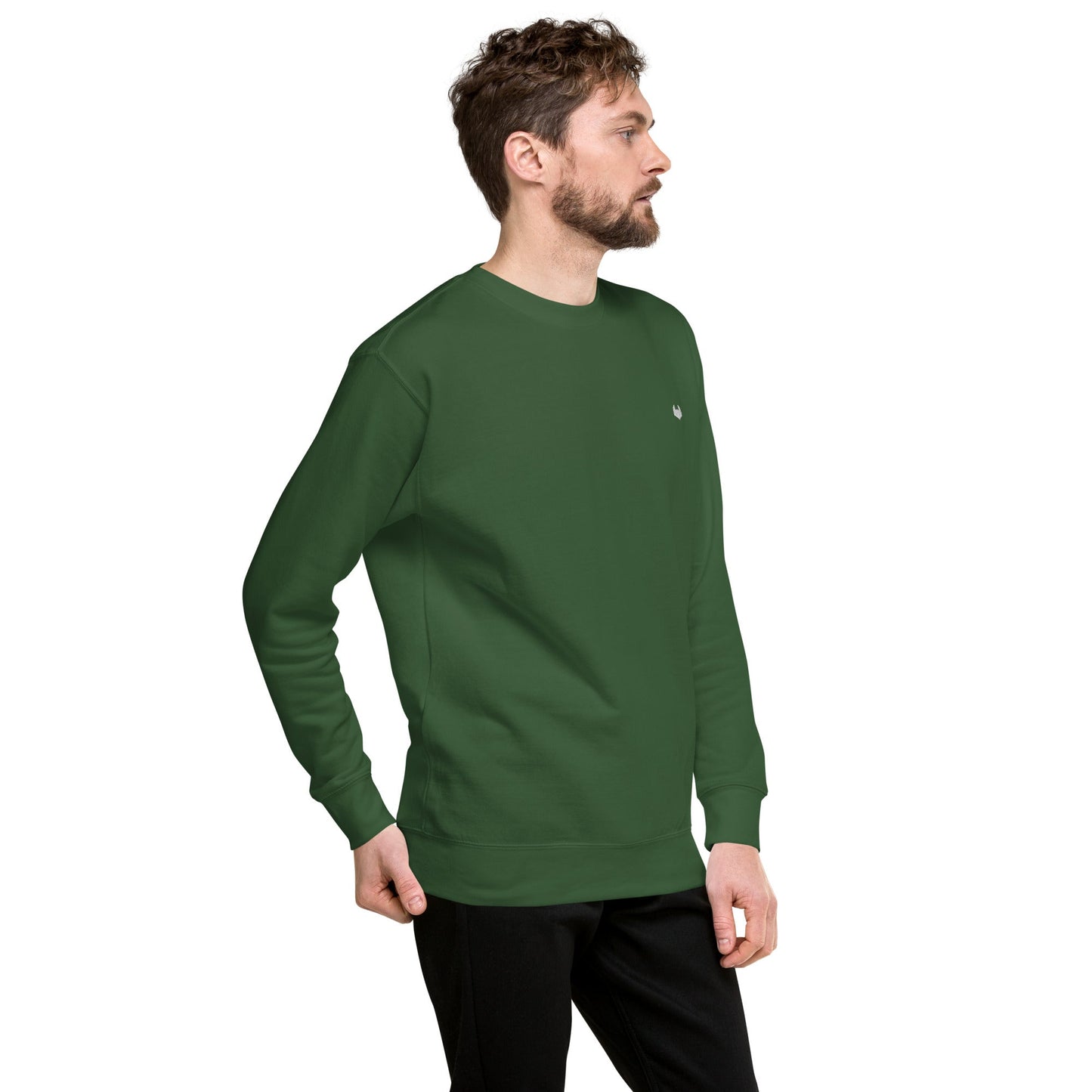 Unisex Premium Jumper Sweatshirt - Icespheric