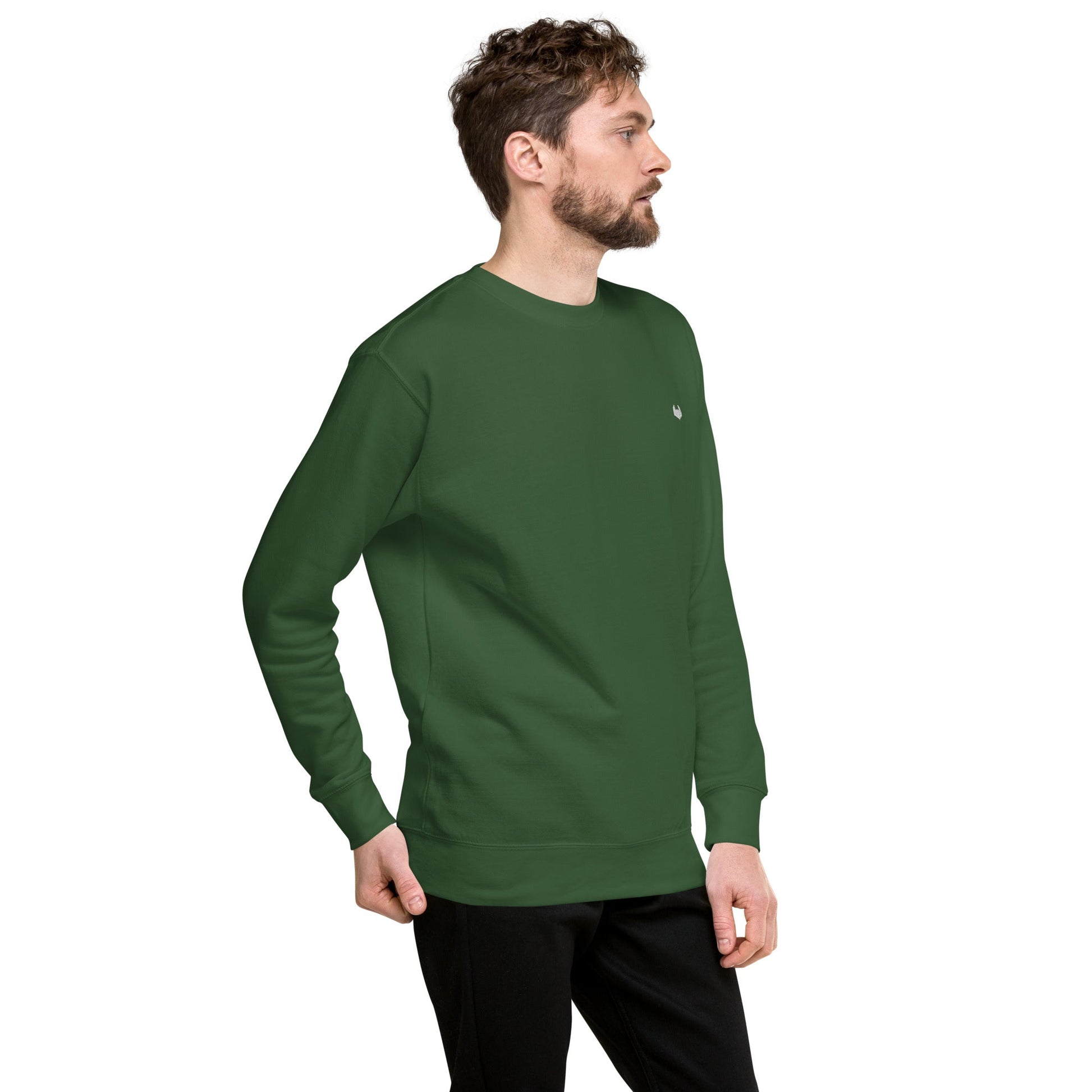 Unisex Premium Jumper Sweatshirt - Icespheric