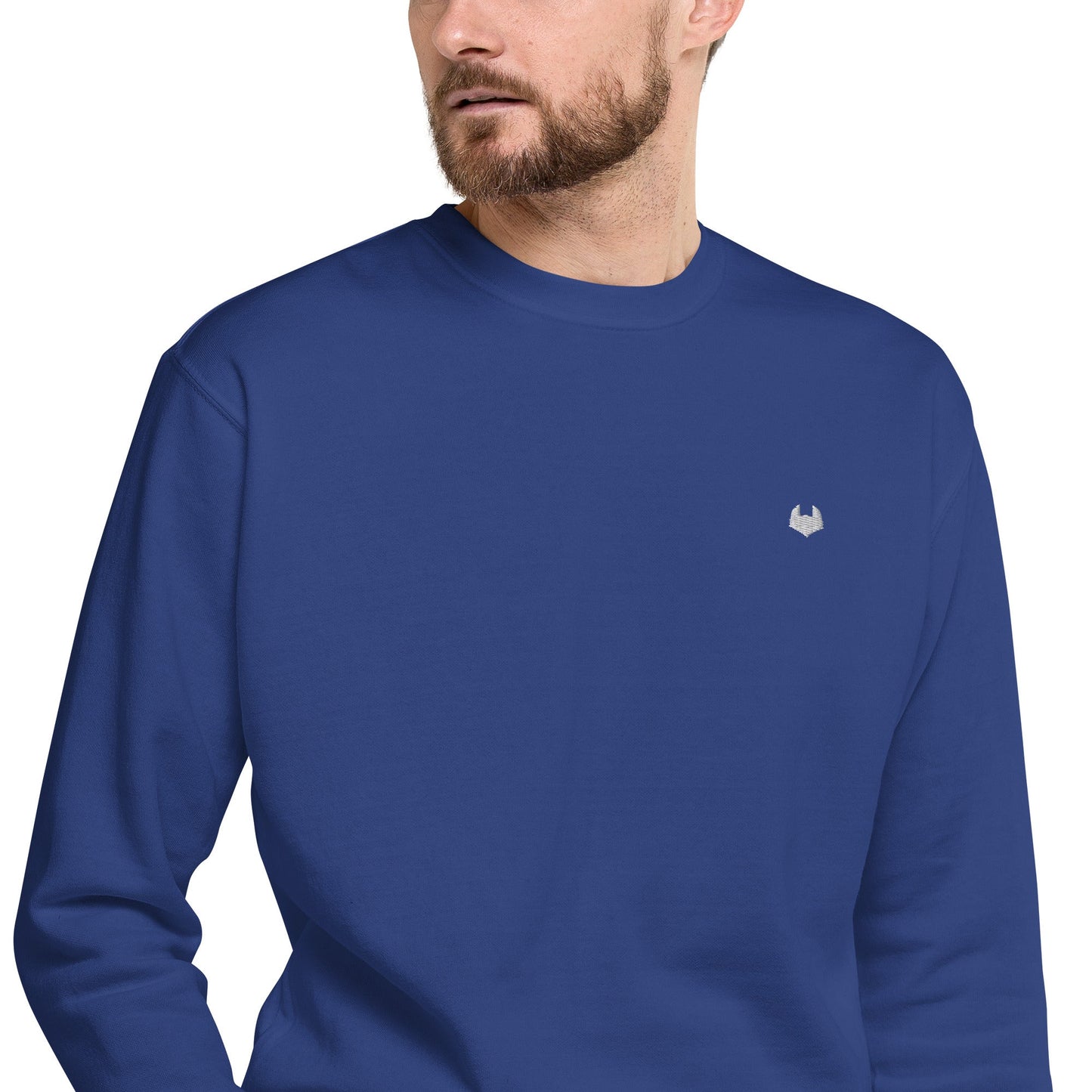 Unisex Premium Jumper Sweatshirt - Icespheric
