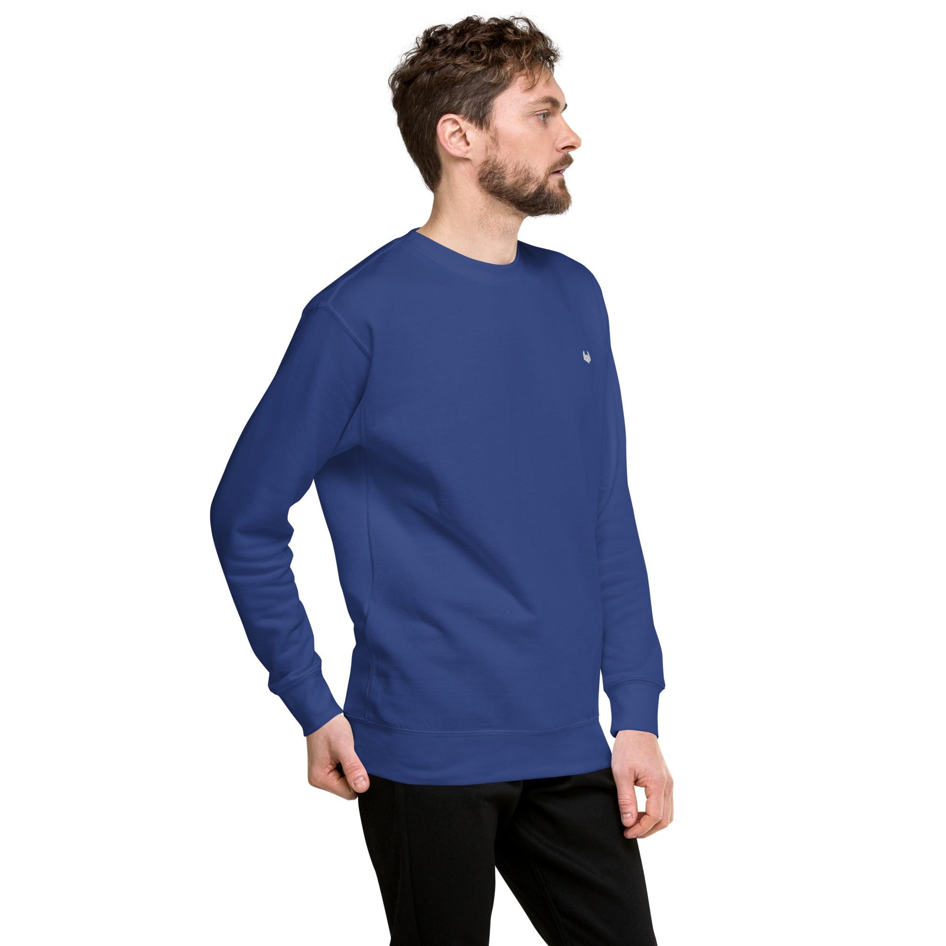 Unisex Premium Jumper Sweatshirt - Icespheric