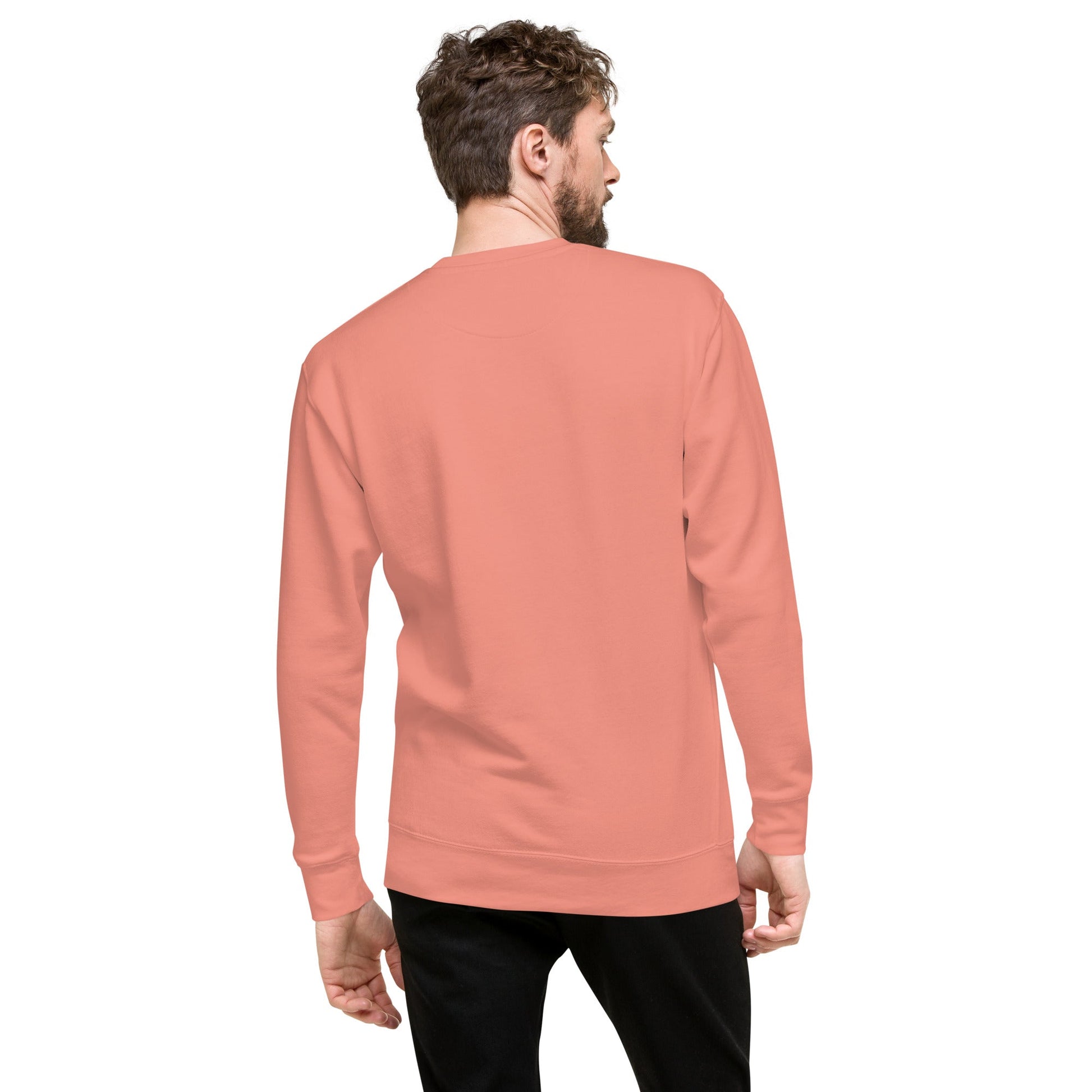 Unisex Premium Jumper Sweatshirt - Icespheric