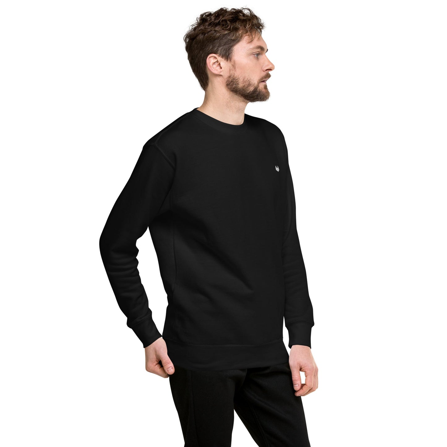 Unisex Premium Jumper Sweatshirt - Icespheric