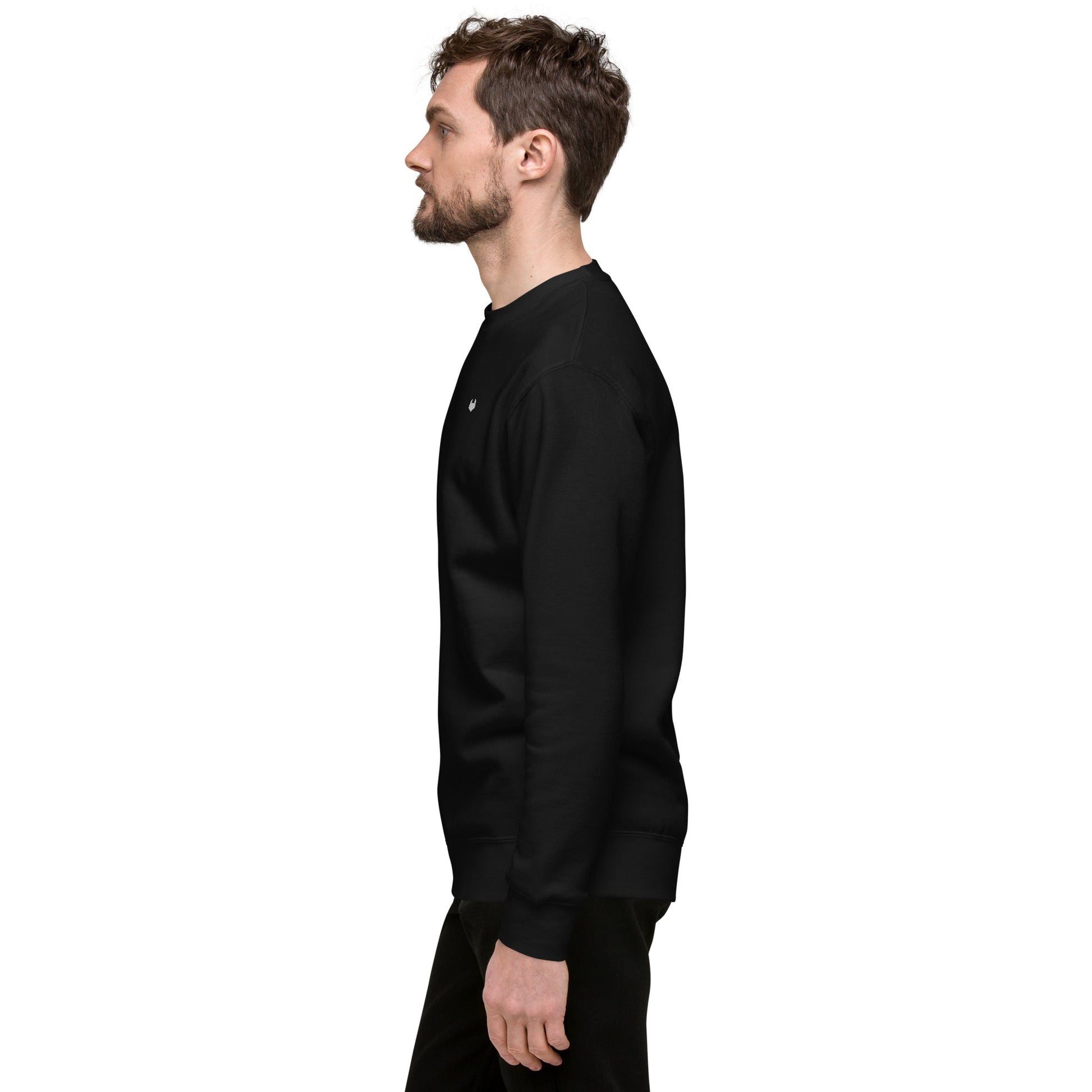 Unisex Premium Jumper Sweatshirt - Icespheric