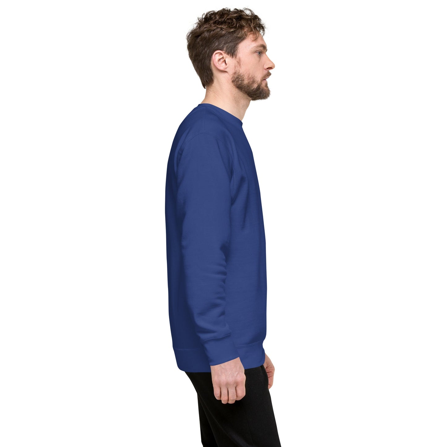 Unisex Premium Jumper Sweatshirt - Icespheric
