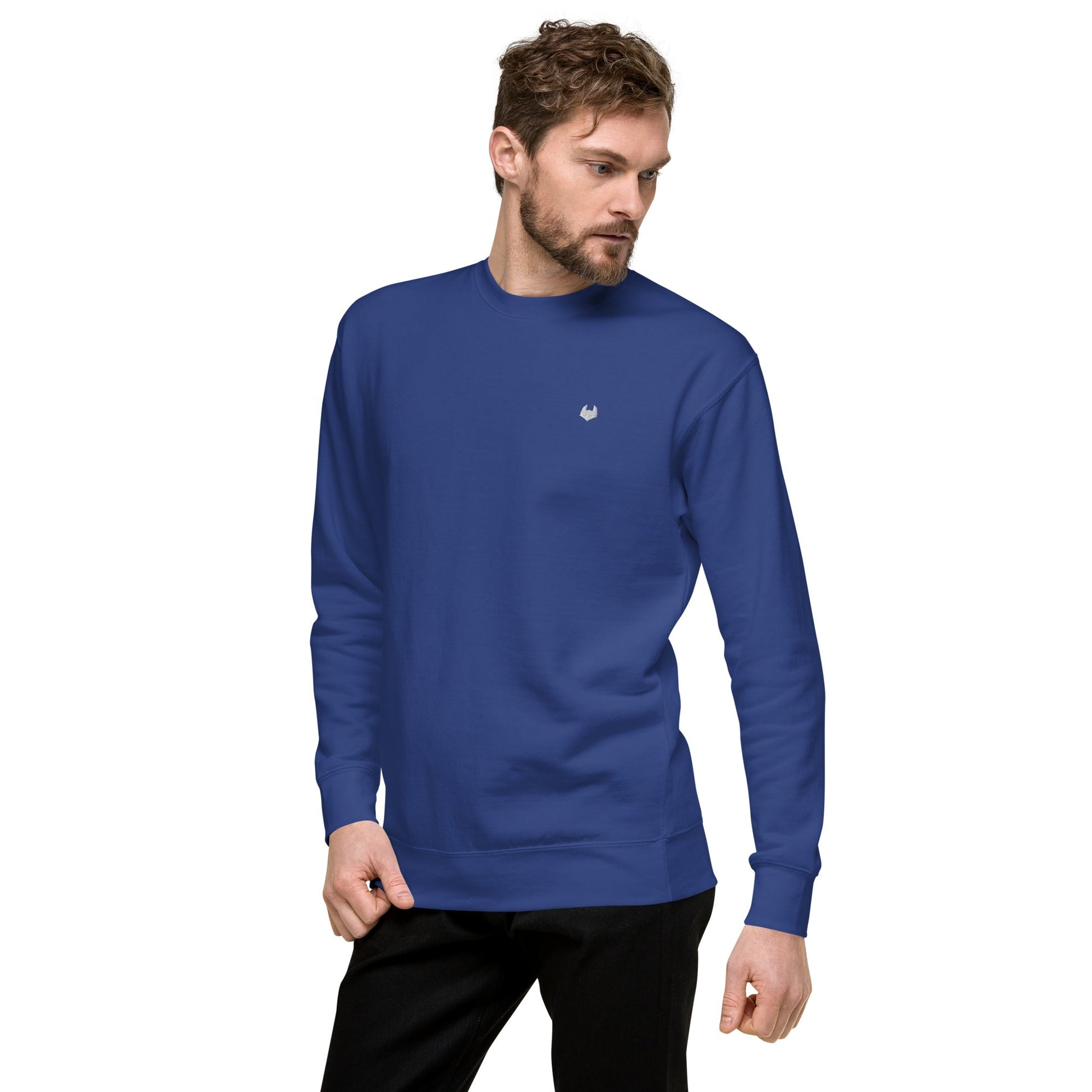 Unisex Premium Jumper Sweatshirt - Icespheric