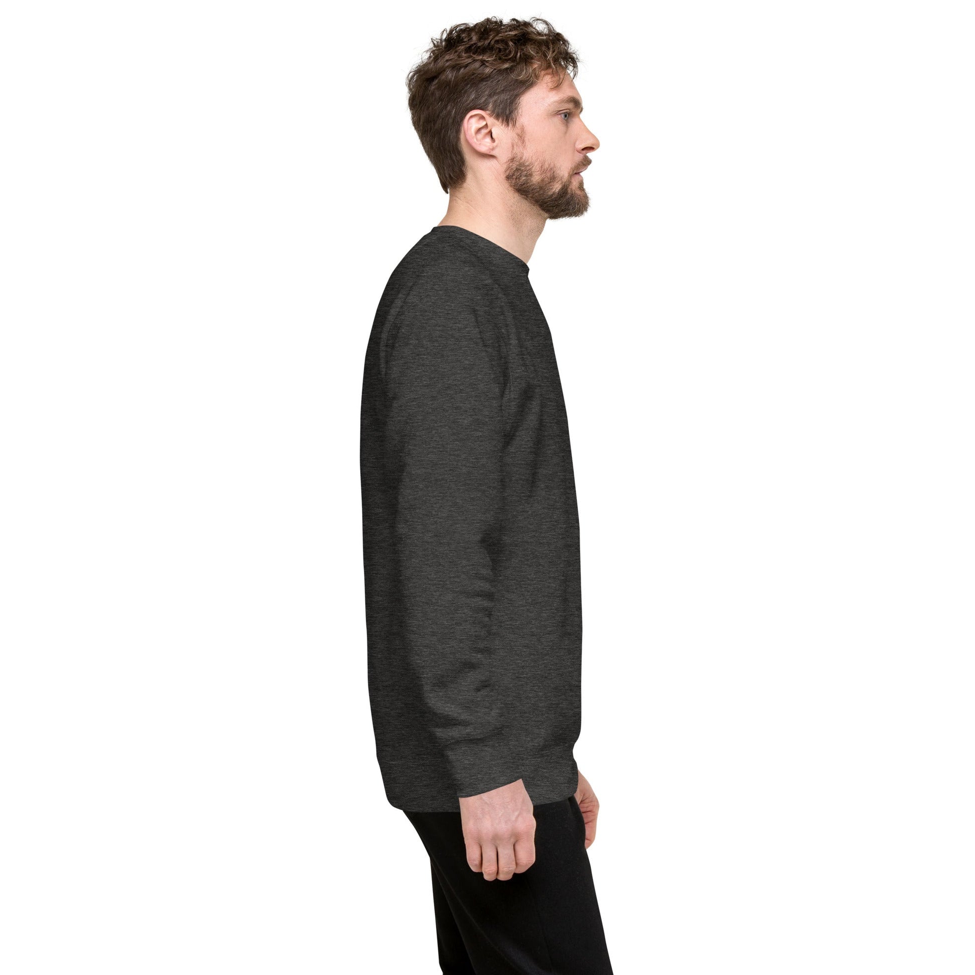 Unisex Premium Jumper Sweatshirt - Icespheric