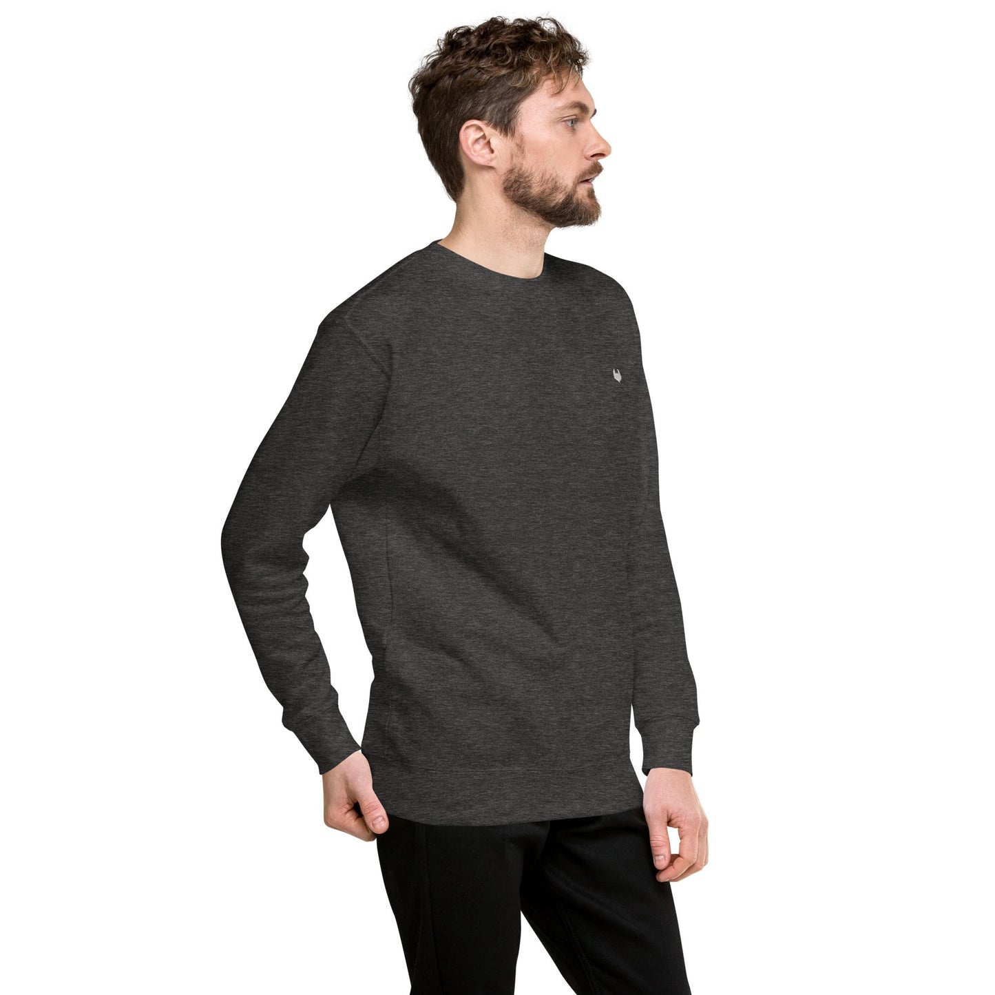 Unisex Premium Jumper Sweatshirt - Icespheric