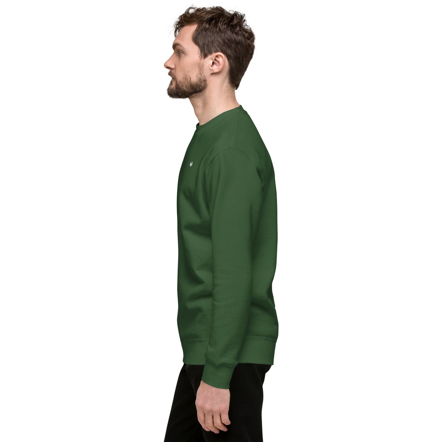 Unisex Premium Jumper Sweatshirt - Icespheric