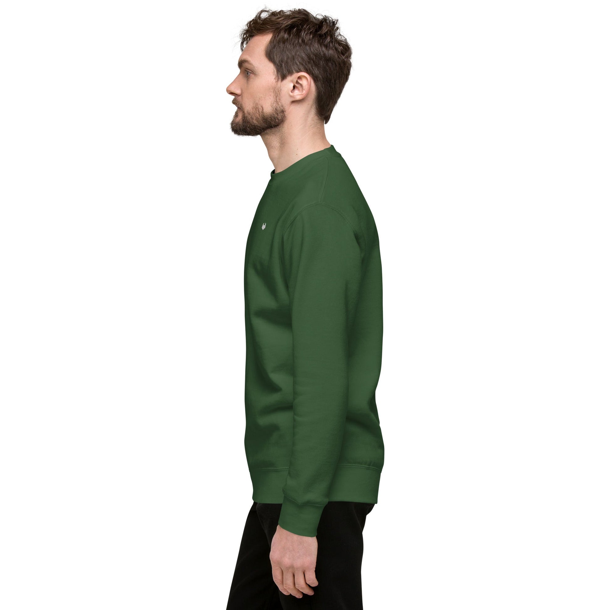 Unisex Premium Jumper Sweatshirt - Icespheric