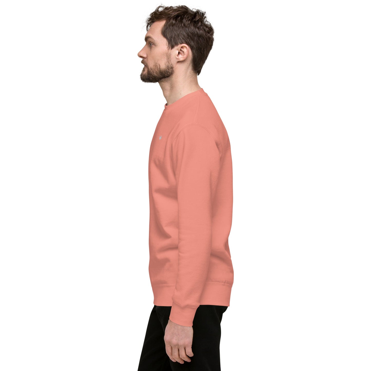 Unisex Premium Jumper Sweatshirt - Icespheric