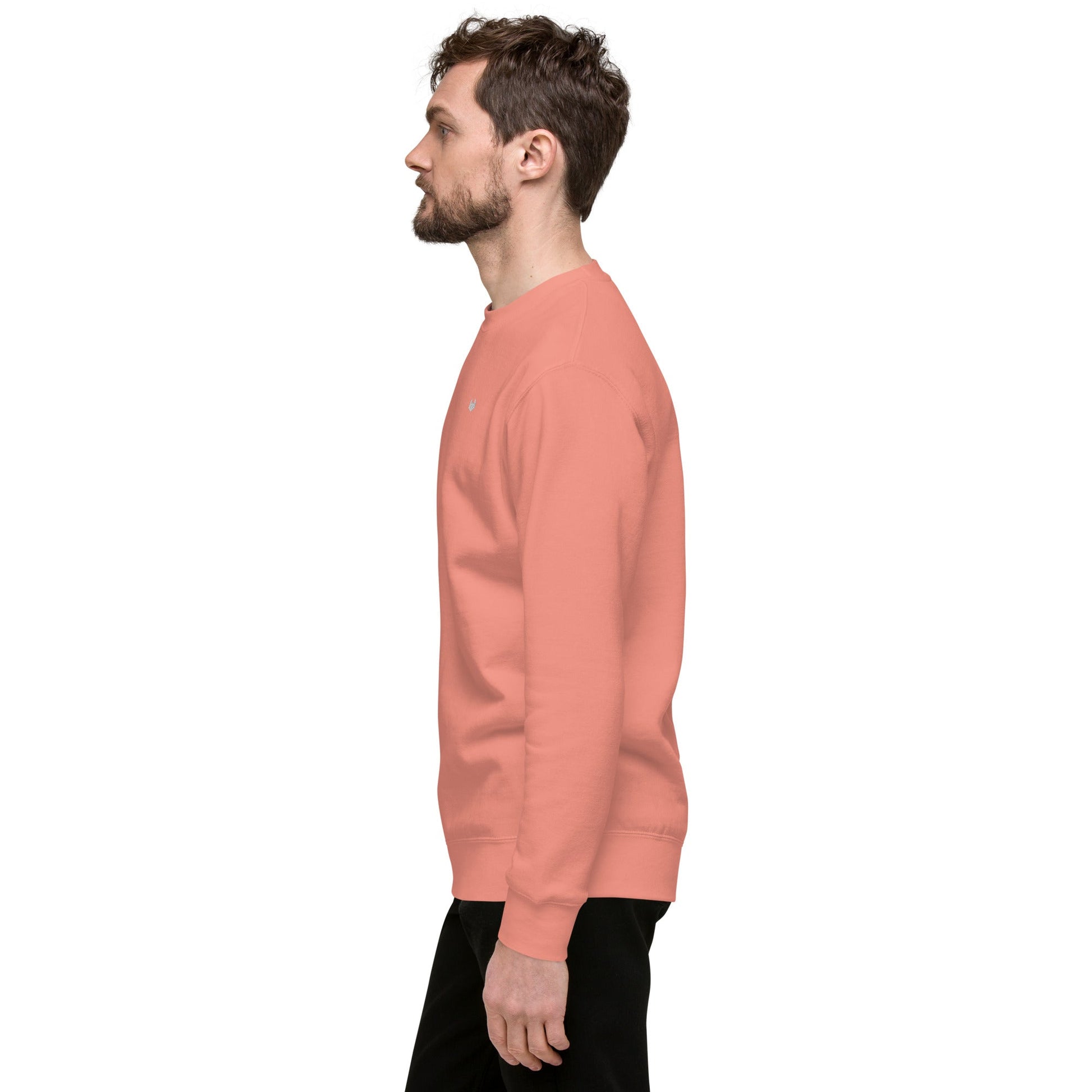 Unisex Premium Jumper Sweatshirt - Icespheric