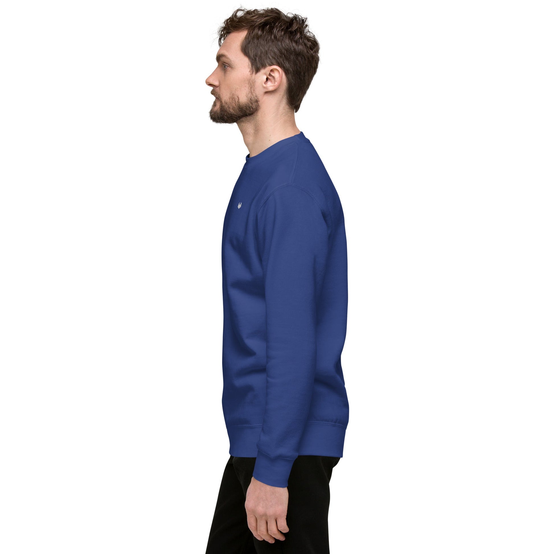 Unisex Premium Jumper Sweatshirt - Icespheric