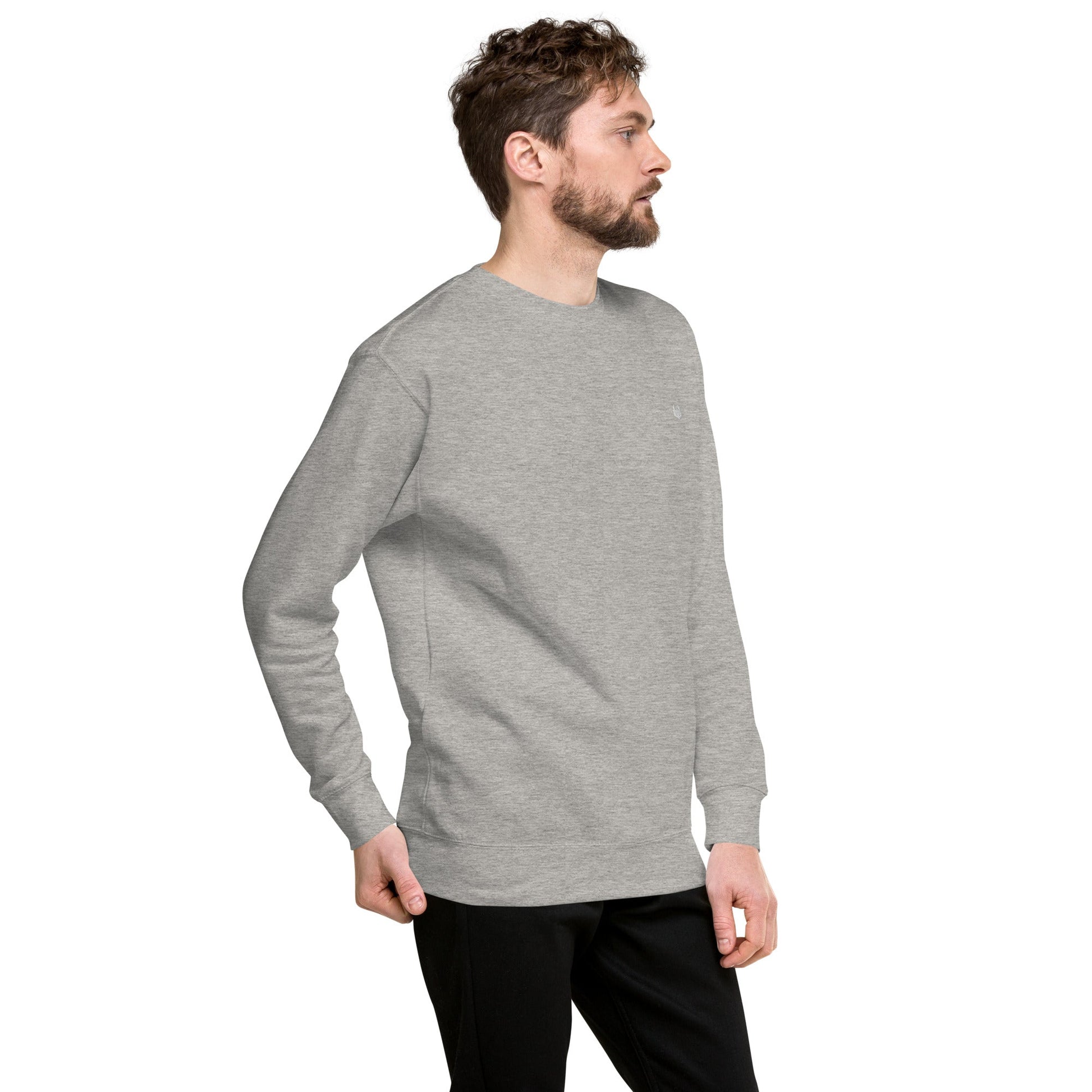 Unisex Premium Jumper Sweatshirt - Icespheric
