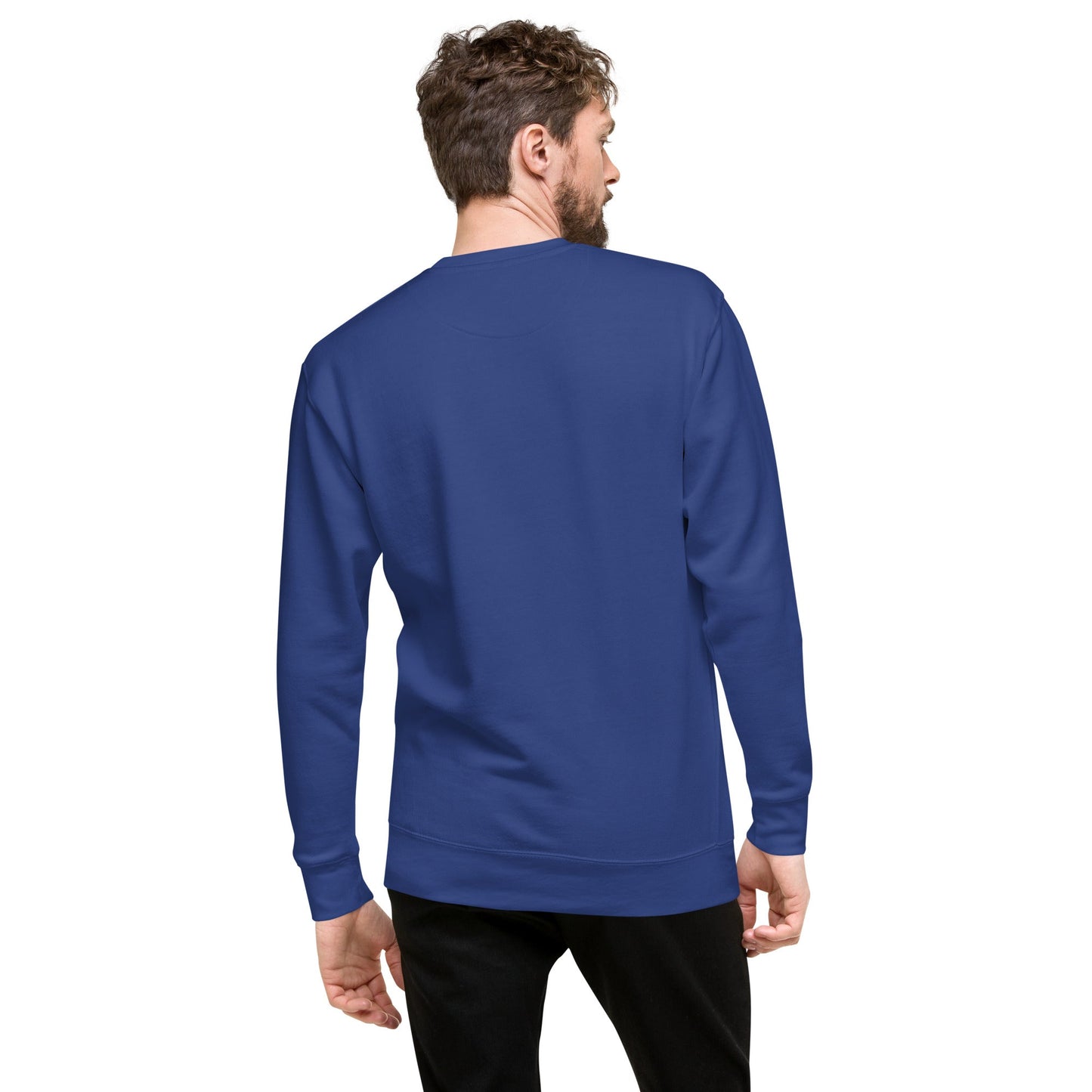 Unisex Premium Jumper Sweatshirt - Icespheric