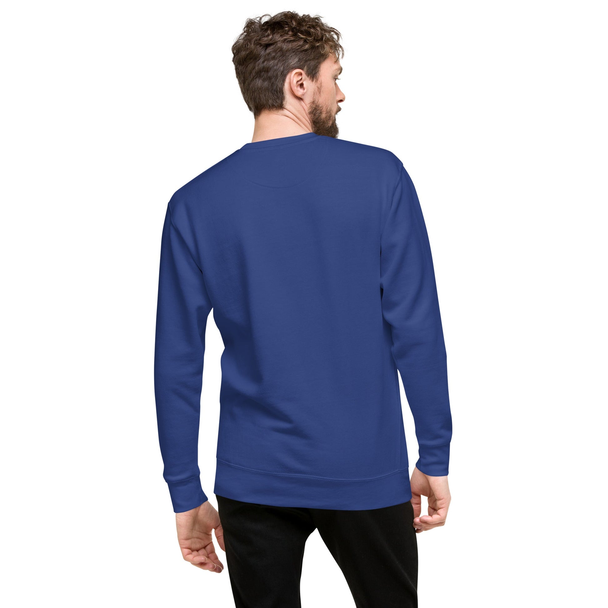 Unisex Premium Jumper Sweatshirt - Icespheric