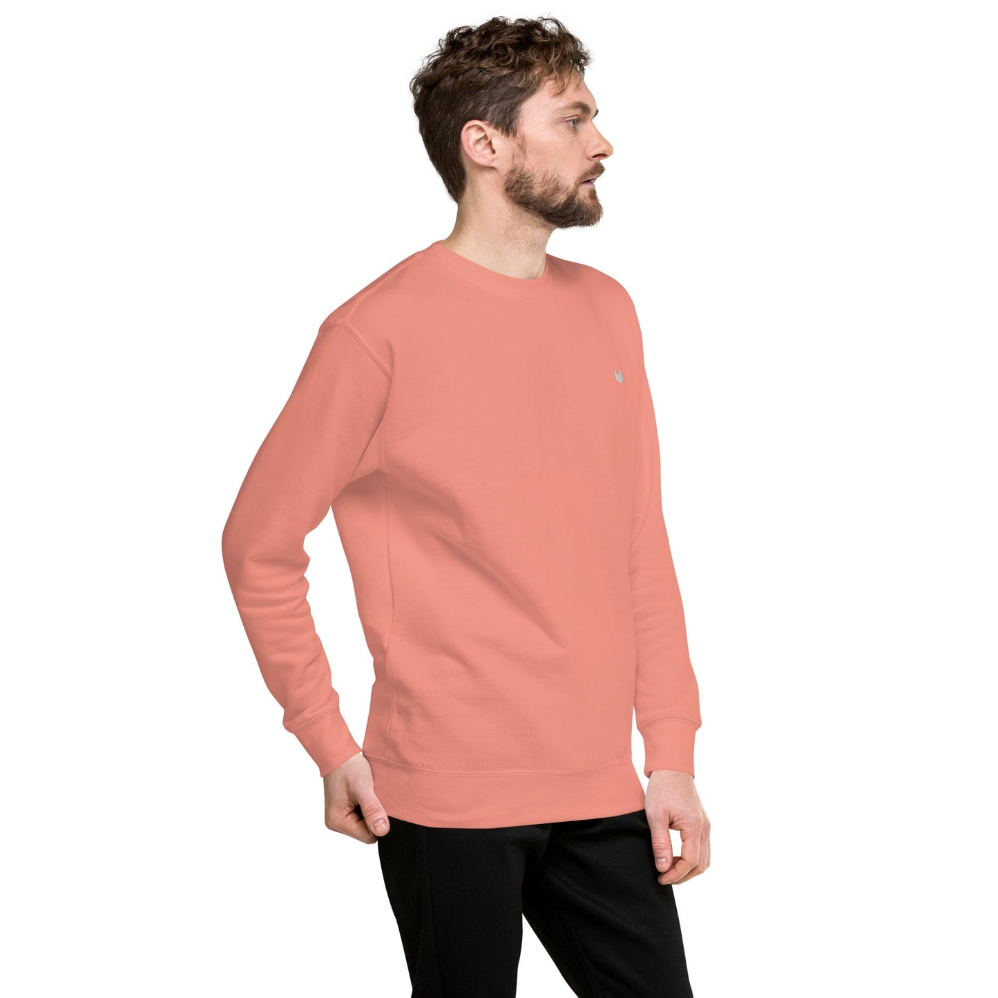 Unisex Premium Jumper Sweatshirt - Icespheric