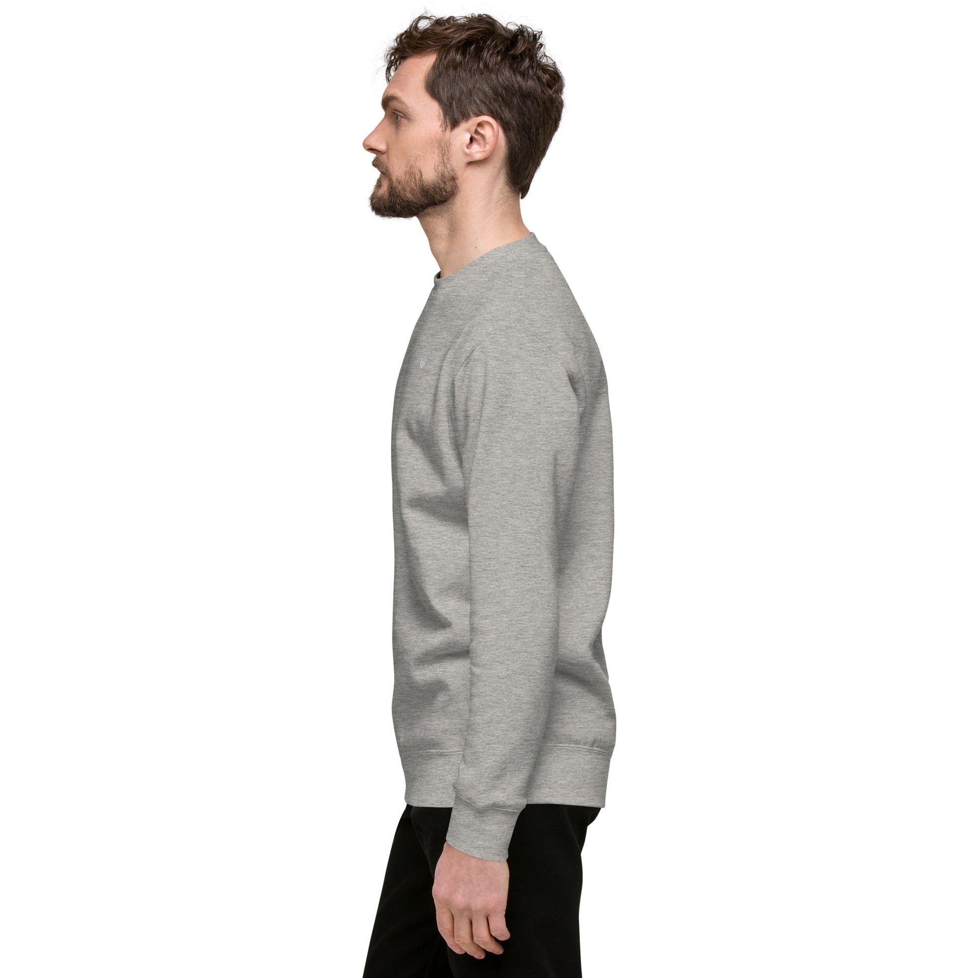 Unisex Premium Jumper Sweatshirt - Icespheric