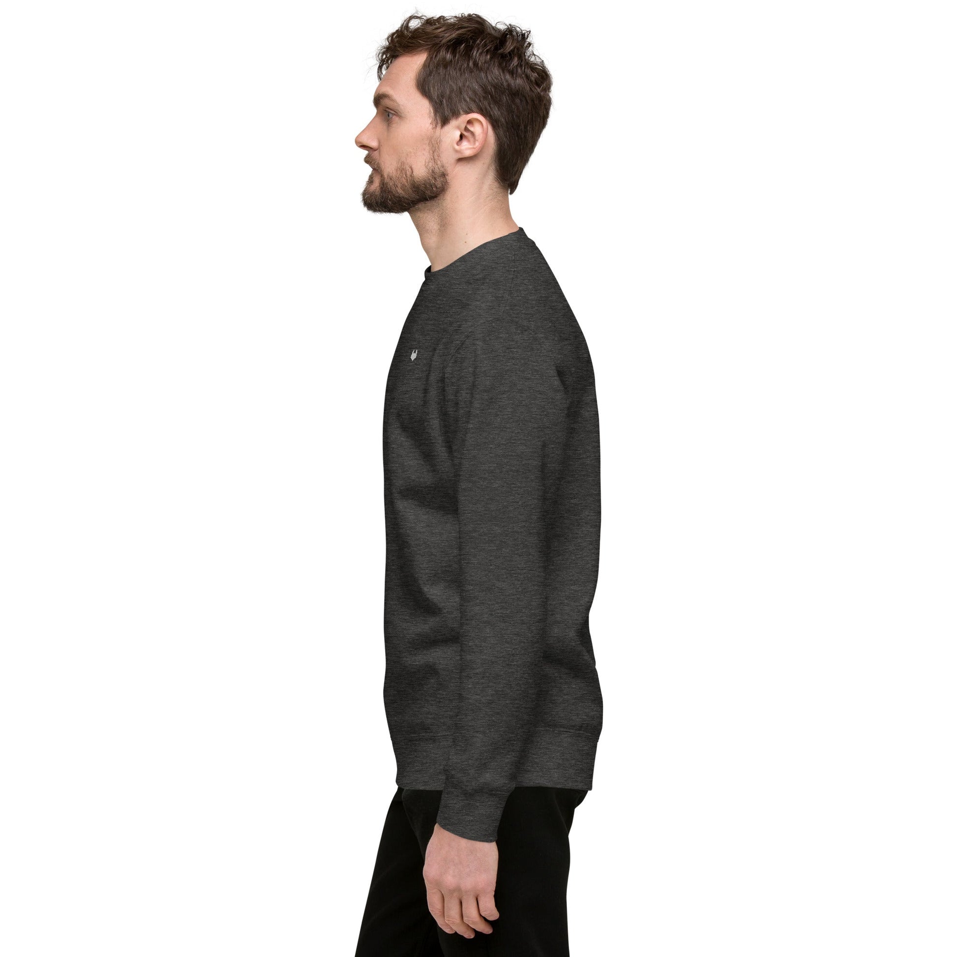 Unisex Premium Jumper Sweatshirt - Icespheric