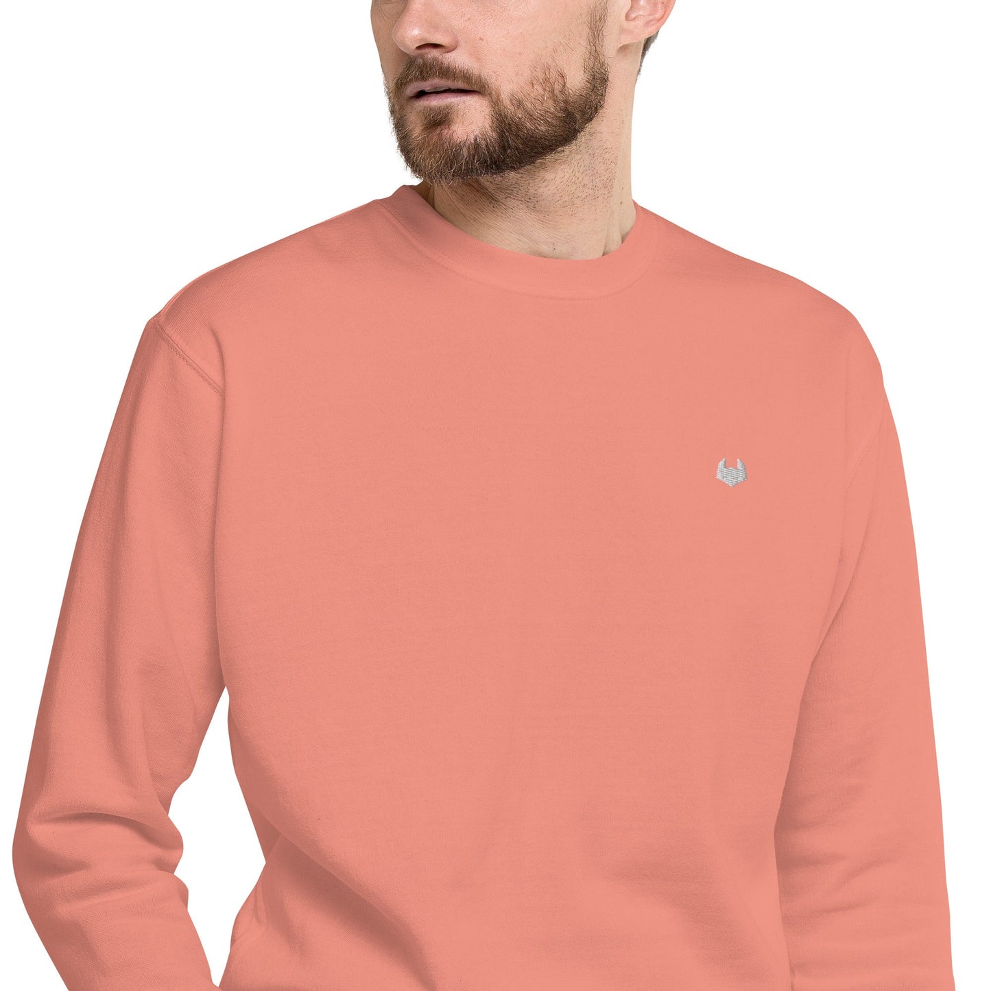Unisex Premium Jumper Sweatshirt - Icespheric