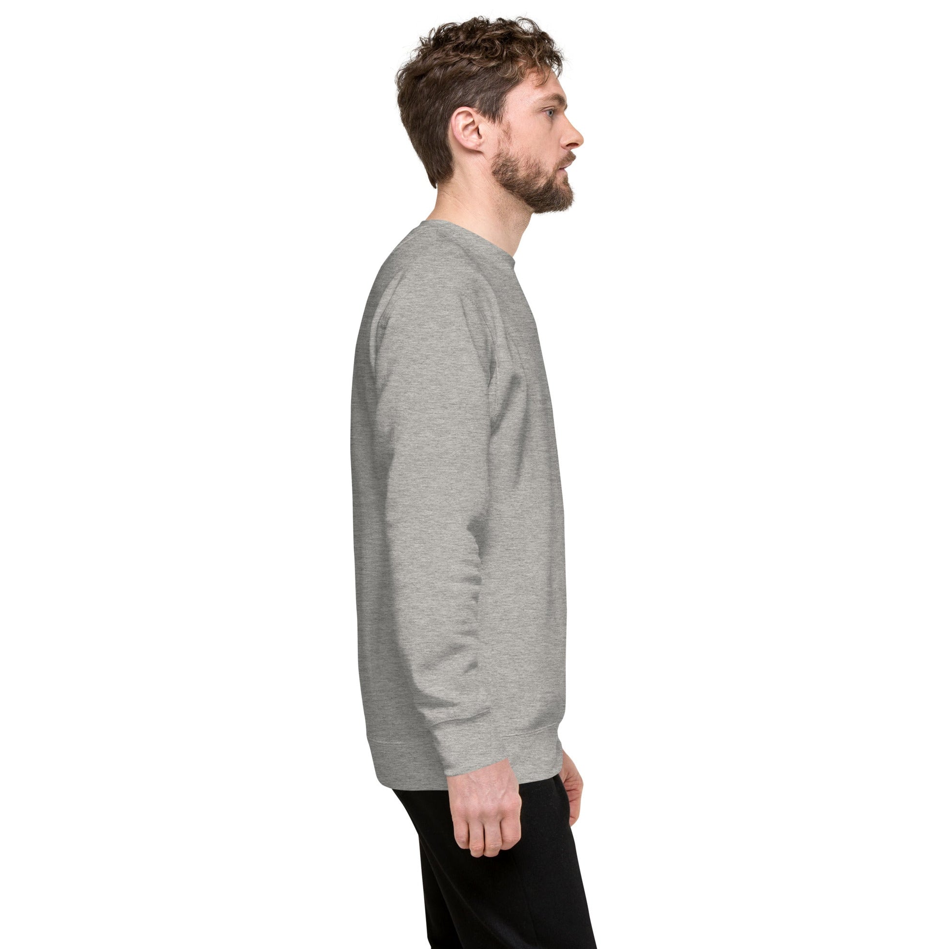 Unisex Premium Jumper Sweatshirt - Icespheric