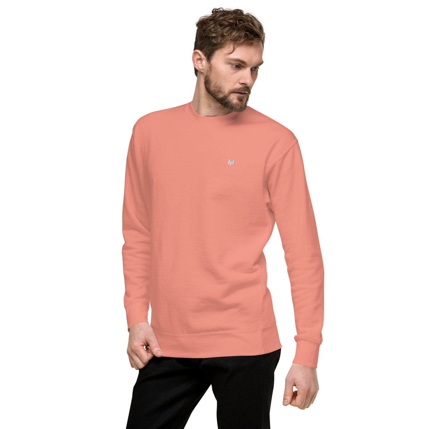 Unisex Premium Jumper Sweatshirt - Icespheric