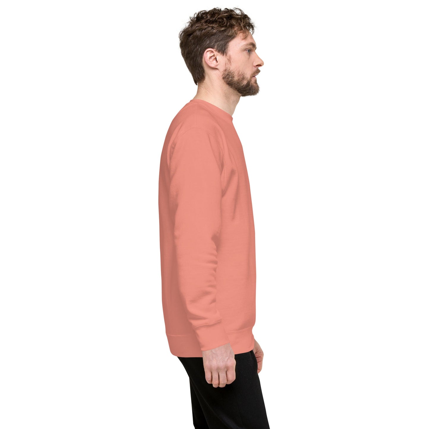 Unisex Premium Jumper Sweatshirt - Icespheric