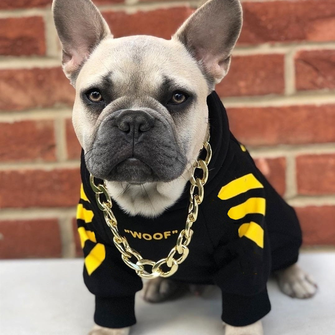Winter Dog Hoodie jumper