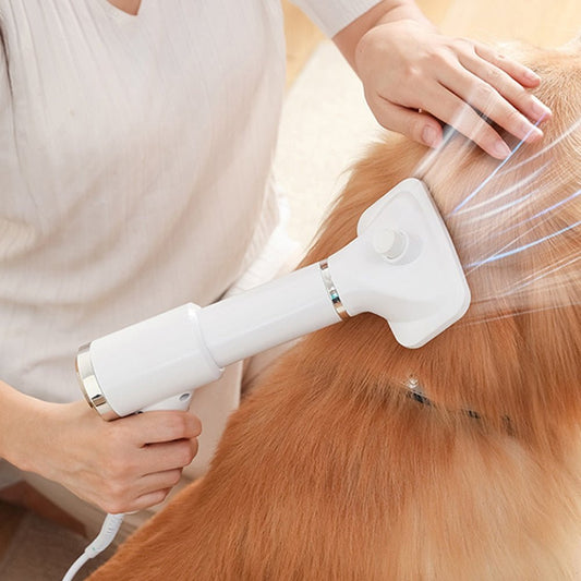 Portable 2-in-1 Dog Hair Dryer Brush