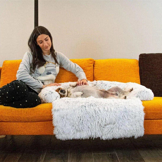 Soft Fluffy Pet Sofa Bed