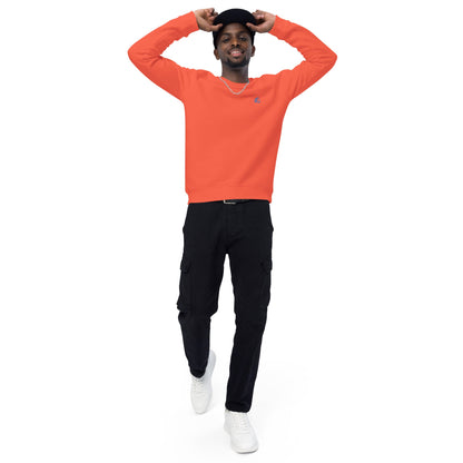 Unisex Organic Raglan Jumper Sweater