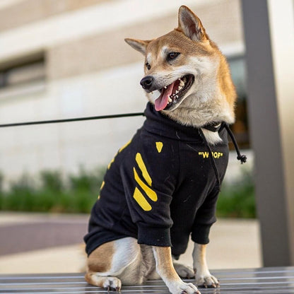 Winter Dog Hoodie jumper