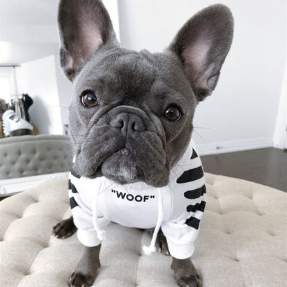 Winter Dog Hoodie jumper