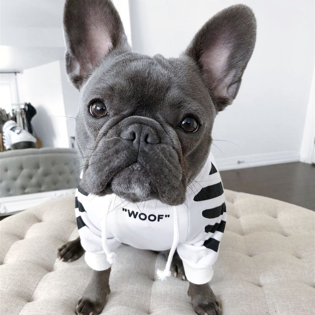Winter Dog Hoodie jumper