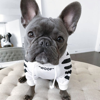 Winter Dog Hoodie jumper